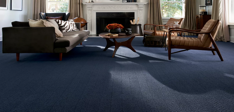 Karastan Blue Rugs for Home